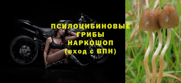 ГАЛЛЮЦИНОГЕННЫЕ ГРИБЫ Алзамай