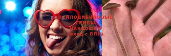 ГАЛЛЮЦИНОГЕННЫЕ ГРИБЫ Алзамай