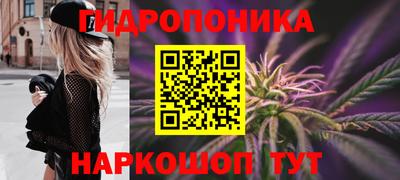 spice Дубна